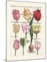 Tulips en Masse II-null-Mounted Art Print