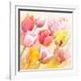 Tulips Flowers Close Up for-Svetlana Foote-Framed Art Print