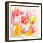 Tulips Flowers Close Up for-Svetlana Foote-Framed Art Print