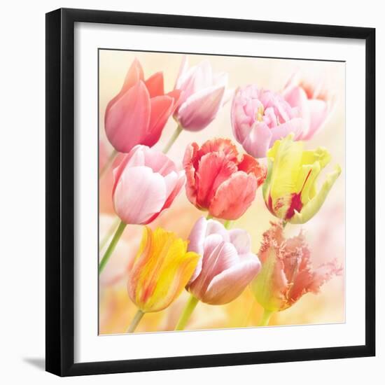 Tulips Flowers Close Up for-Svetlana Foote-Framed Art Print