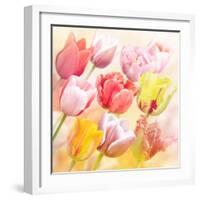 Tulips Flowers Close Up for-Svetlana Foote-Framed Art Print