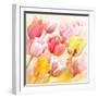 Tulips Flowers Close Up for-Svetlana Foote-Framed Art Print