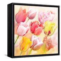 Tulips Flowers Close Up for-Svetlana Foote-Framed Stretched Canvas