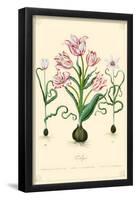 Tulips Flowers-null-Framed Poster