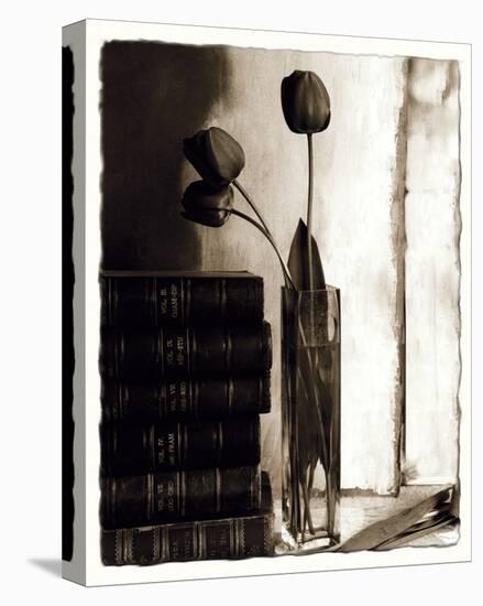 Tulips for Readers II-Richard Sutton-Stretched Canvas