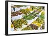 Tulips for Sale in the Bloemenmarkt, the Floating Flower Market, Amsterdam, Netherlands, Europe-Amanda Hall-Framed Photographic Print