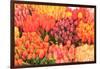 Tulips for sale.-Stuart Westmorland-Framed Photographic Print