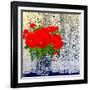 Tulips For Sheila-Linda Arthurs-Framed Giclee Print