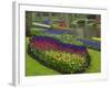 Tulips, Grape Hyacinth and Daffodils, Keukenhof Gardens, Lisse, Netherlands-Adam Jones-Framed Photographic Print