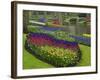 Tulips, Grape Hyacinth and Daffodils, Keukenhof Gardens, Lisse, Netherlands-Adam Jones-Framed Photographic Print