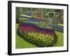 Tulips, Grape Hyacinth and Daffodils, Keukenhof Gardens, Lisse, Netherlands-Adam Jones-Framed Photographic Print