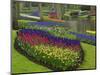 Tulips, Grape Hyacinth and Daffodils, Keukenhof Gardens, Lisse, Netherlands-Adam Jones-Mounted Photographic Print