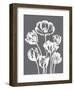 Tulips (Gray & Ivory)-Botanical Series-Framed Art Print