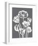 Tulips (Gray & Ivory)-Botanical Series-Framed Art Print