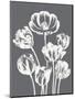 Tulips (Gray & Ivory)-Botanical Series-Mounted Art Print