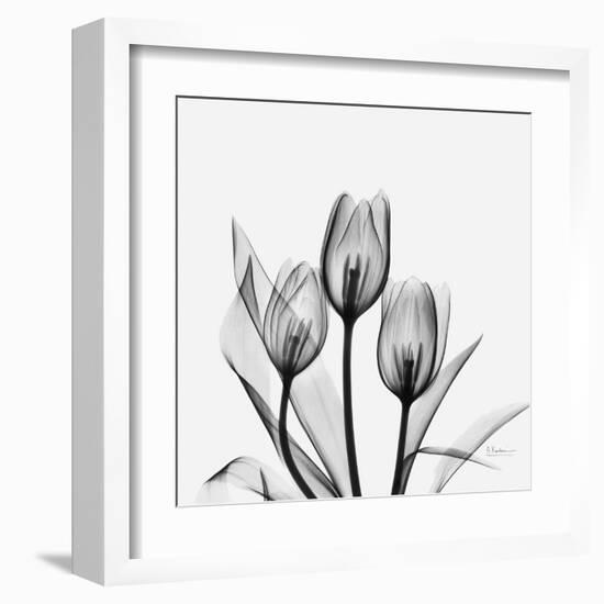 Tulips Greys 3-Albert Koetsier-Framed Art Print