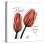 Tulips Home-Albert Koetsier-Stretched Canvas