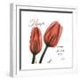 Tulips Home-Albert Koetsier-Framed Art Print
