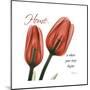 Tulips Home-Albert Koetsier-Mounted Art Print