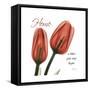 Tulips Home-Albert Koetsier-Framed Stretched Canvas