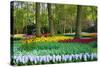 Tulips, Hyacinths and Blossoming Trees-Colette2-Stretched Canvas