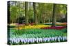 Tulips, Hyacinths and Blossoming Trees-Colette2-Stretched Canvas