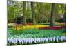 Tulips, Hyacinths and Blossoming Trees-Colette2-Mounted Photographic Print