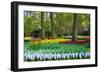 Tulips, Hyacinths and Blossoming Trees-Colette2-Framed Photographic Print