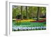 Tulips, Hyacinths and Blossoming Trees-Colette2-Framed Photographic Print