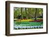 Tulips, Hyacinths and Blossoming Trees-Colette2-Framed Photographic Print