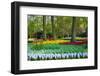 Tulips, Hyacinths and Blossoming Trees-Colette2-Framed Photographic Print