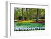 Tulips, Hyacinths and Blossoming Trees-Colette2-Framed Photographic Print