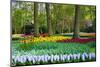 Tulips, Hyacinths and Blossoming Trees-Colette2-Mounted Photographic Print