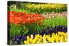 Tulips, Hyacinths and Daffodils-Colette2-Stretched Canvas
