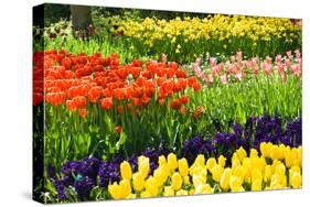 Tulips, Hyacinths and Daffodils-Colette2-Stretched Canvas