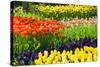 Tulips, Hyacinths and Daffodils-Colette2-Stretched Canvas