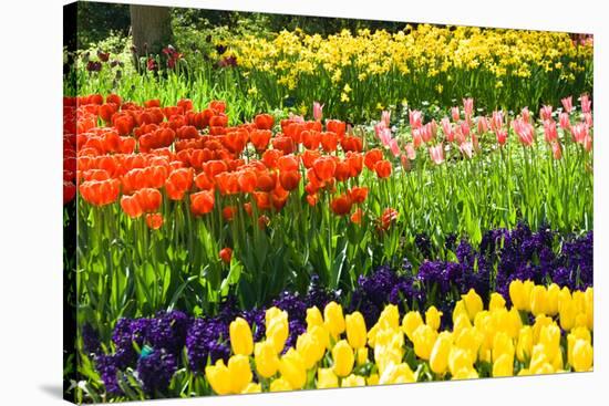 Tulips, Hyacinths and Daffodils-Colette2-Stretched Canvas
