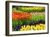 Tulips, Hyacinths and Daffodils-Colette2-Framed Photographic Print