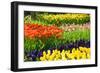 Tulips, Hyacinths and Daffodils-Colette2-Framed Photographic Print