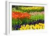 Tulips, Hyacinths and Daffodils-Colette2-Framed Photographic Print