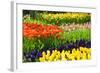 Tulips, Hyacinths and Daffodils-Colette2-Framed Photographic Print