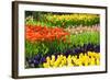 Tulips, Hyacinths and Daffodils-Colette2-Framed Photographic Print