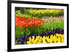 Tulips, Hyacinths and Daffodils-Colette2-Framed Photographic Print