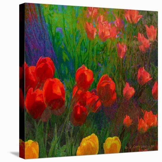 Tulips I-Chris Vest-Stretched Canvas