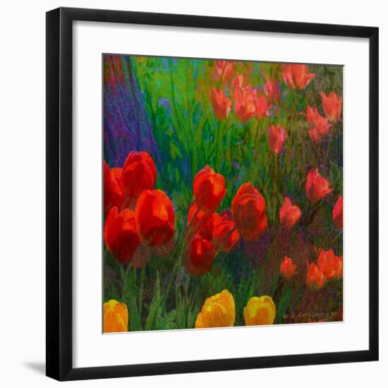 Tulips I-Chris Vest-Framed Art Print