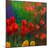 Tulips I-Chris Vest-Mounted Art Print