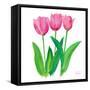 Tulips I-Julie DeRice-Framed Stretched Canvas