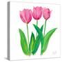 Tulips I-Julie DeRice-Stretched Canvas