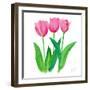 Tulips I-Julie DeRice-Framed Art Print