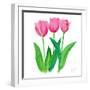 Tulips I-Julie DeRice-Framed Art Print